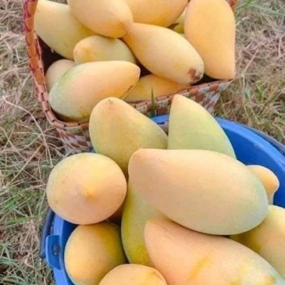 Meet your Posher, Etzer - Picture 1 of 1